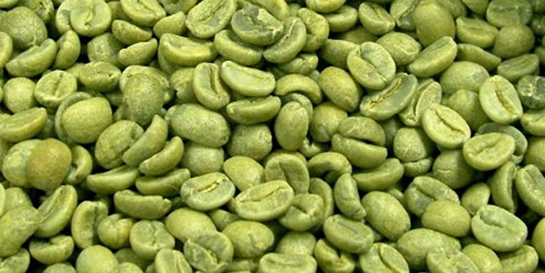 Yeşil Kahve Nasıl Yapılır